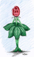 drawing of a rose with a face